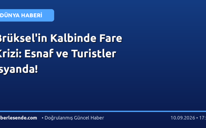Brüksel'in Kalbinde Fare Krizi: Esnaf ve Turistler İsyanda!