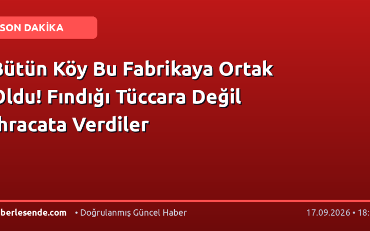 Bütün Köy Bu Fabrikaya Ortak Oldu! Fındığı Tüccara Değil İhracata Verdiler