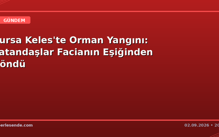 Bursa Keles'te Orman Yangını: Vatandaşlar Facianın Eşiğinden Döndü