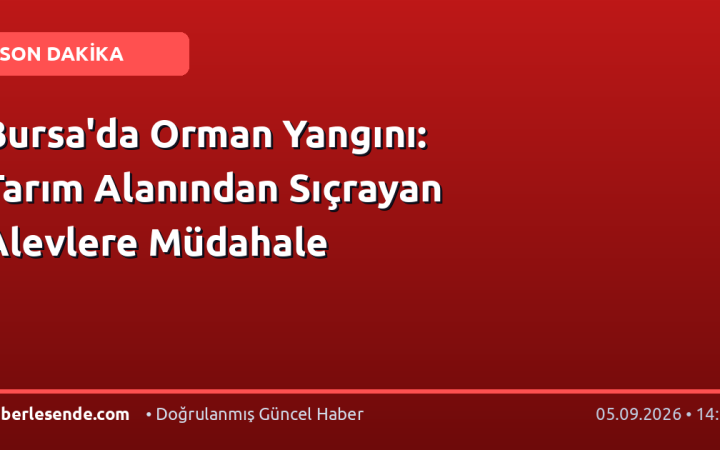 Bursa'da Orman Yangını: Tarım Alanından Sıçrayan Alevlere Müdahale