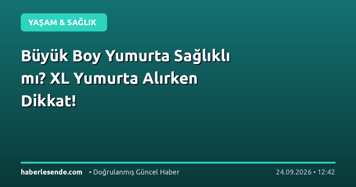 Büyük Boy Yumurta Sağlıklı mı? XL Yumurta Alırken Dikkat!