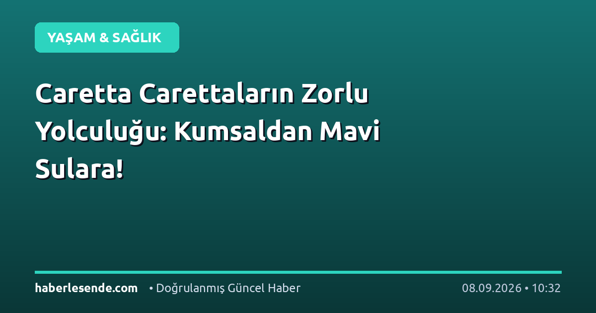 Caretta Carettaların Zorlu Yolculuğu: Kumsaldan Mavi Sulara!