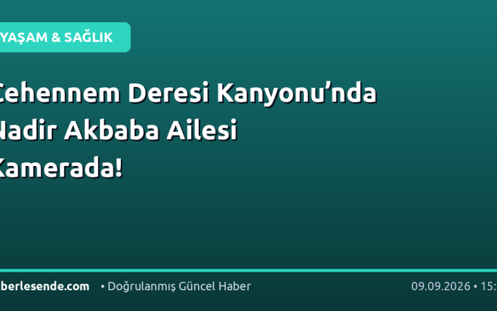 Cehennem Deresi Kanyonu’nda Nadir Akbaba Ailesi Kamerada!