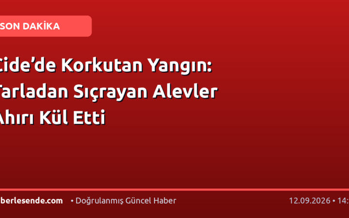 Cide’de Korkutan Yangın: Tarladan Sıçrayan Alevler Ahırı Kül Etti