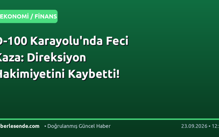 D-100 Karayolu'nda Feci Kaza: Direksiyon Hakimiyetini Kaybetti!