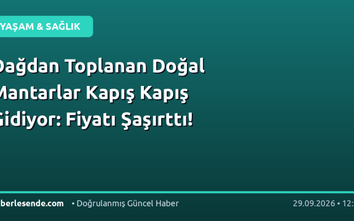 Dağdan Toplanan Doğal Mantarlar Kapış Kapış Gidiyor: Fiyatı Şaşırttı!