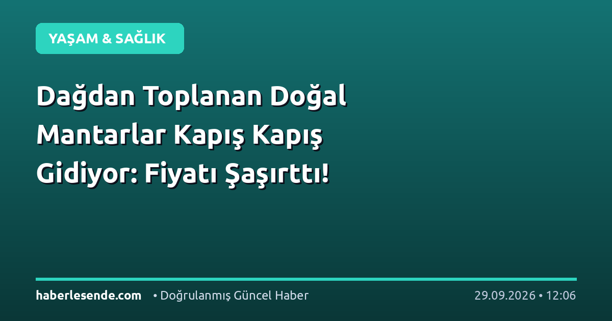 Dağdan Toplanan Doğal Mantarlar Kapış Kapış Gidiyor: Fiyatı Şaşırttı!
