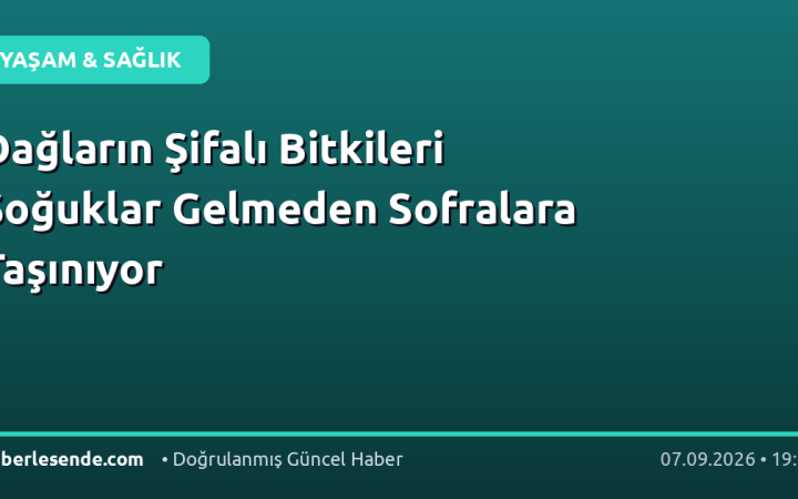 Dağların Şifalı Bitkileri Soğuklar Gelmeden Sofralara Taşınıyor