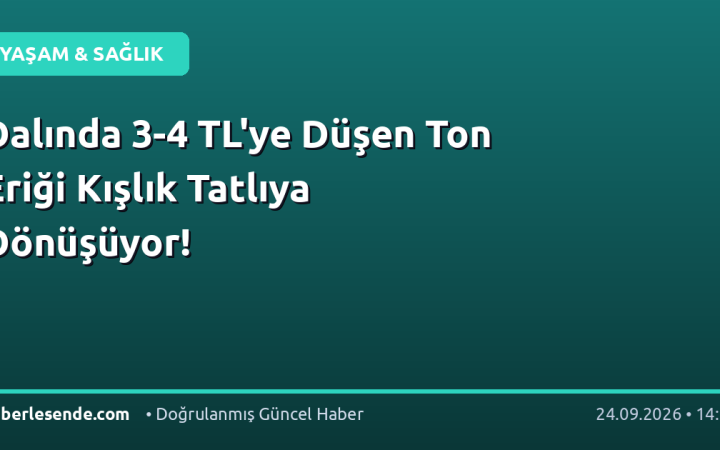 Dalında 3-4 TL'ye Düşen Ton Eriği Kışlık Tatlıya Dönüşüyor!