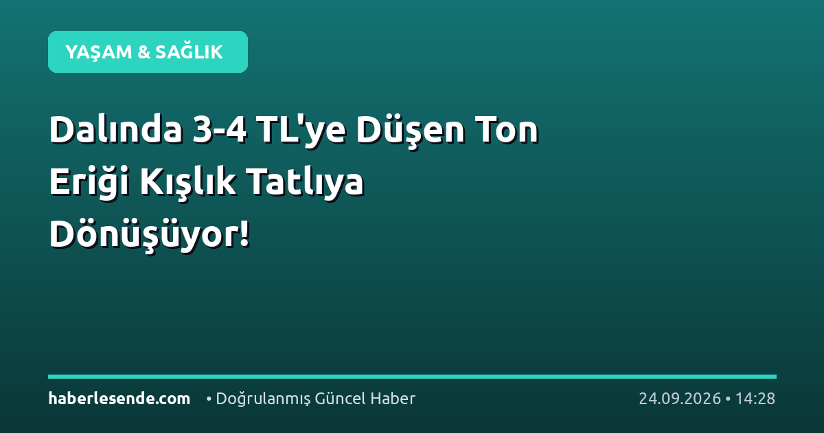 Dalında 3-4 TL'ye Düşen Ton Eriği Kışlık Tatlıya Dönüşüyor!