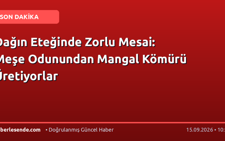 Dağın Eteğinde Zorlu Mesai: Meşe Odunundan Mangal Kömürü Üretiyorlar