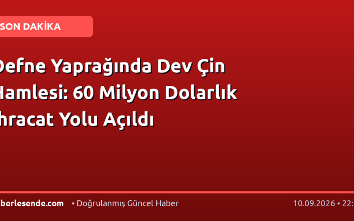 Defne Yaprağında Dev Çin Hamlesi: 60 Milyon Dolarlık İhracat Yolu Açıldı