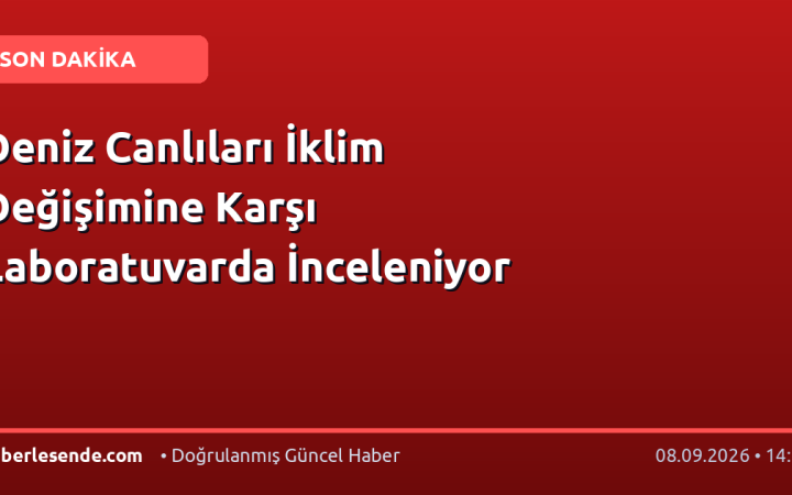 Deniz Canlıları İklim Değişimine Karşı Laboratuvarda İnceleniyor