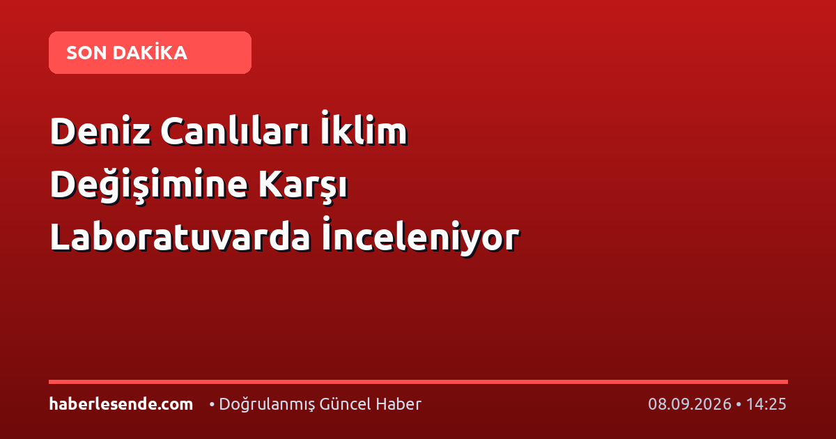 Deniz Canlıları İklim Değişimine Karşı Laboratuvarda İnceleniyor