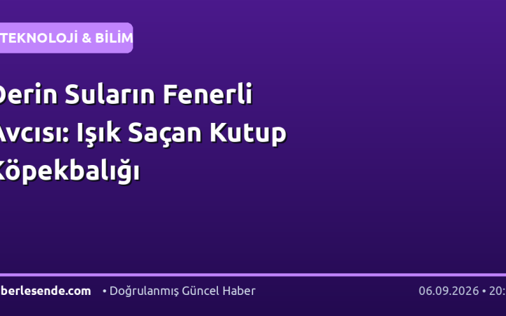 Derin Suların Fenerli Avcısı: Işık Saçan Kutup Köpekbalığı