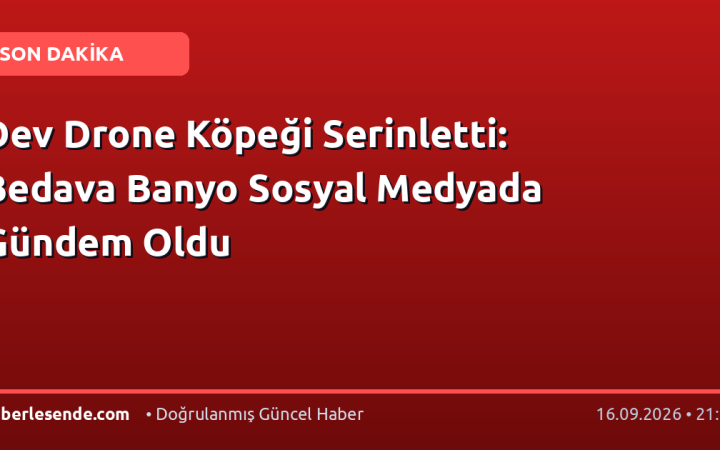 Dev Drone Köpeği Serinletti: Bedava Banyo Sosyal Medyada Gündem Oldu
