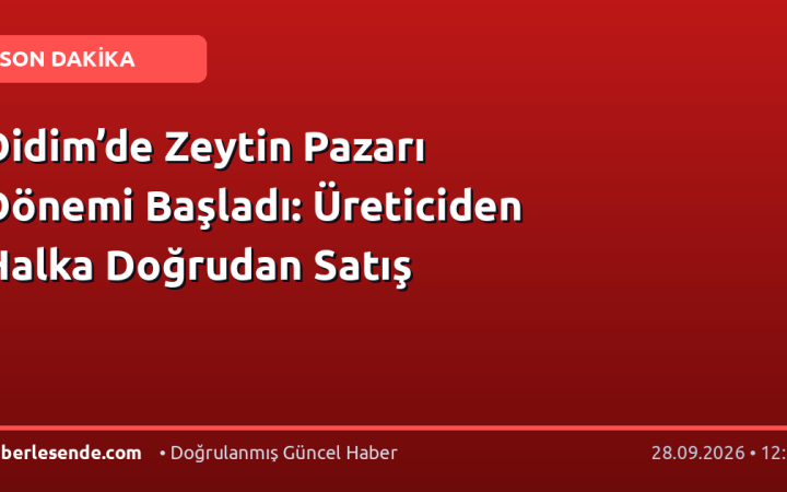 Didim’de Zeytin Pazarı Dönemi Başladı: Üreticiden Halka Doğrudan Satış