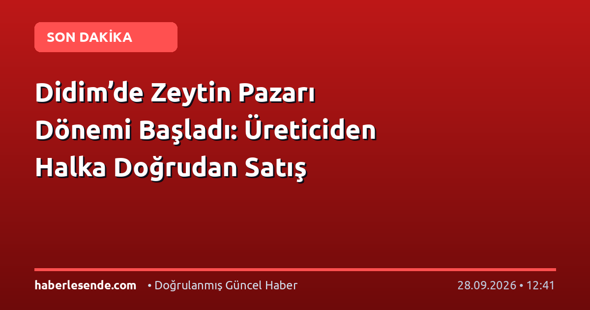 Didim’de Zeytin Pazarı Dönemi Başladı: Üreticiden Halka Doğrudan Satış