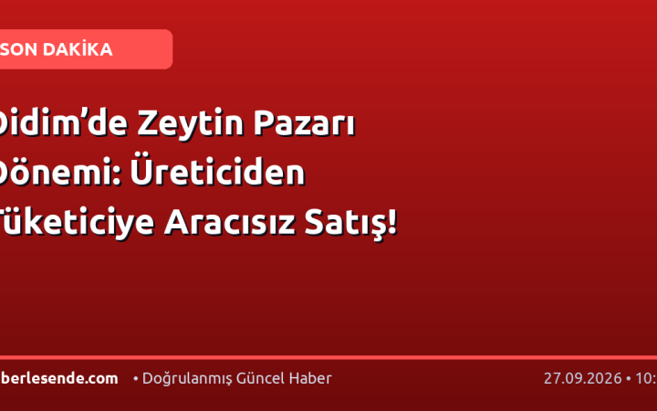 Didim’de Zeytin Pazarı Dönemi: Üreticiden Tüketiciye Aracısız Satış!