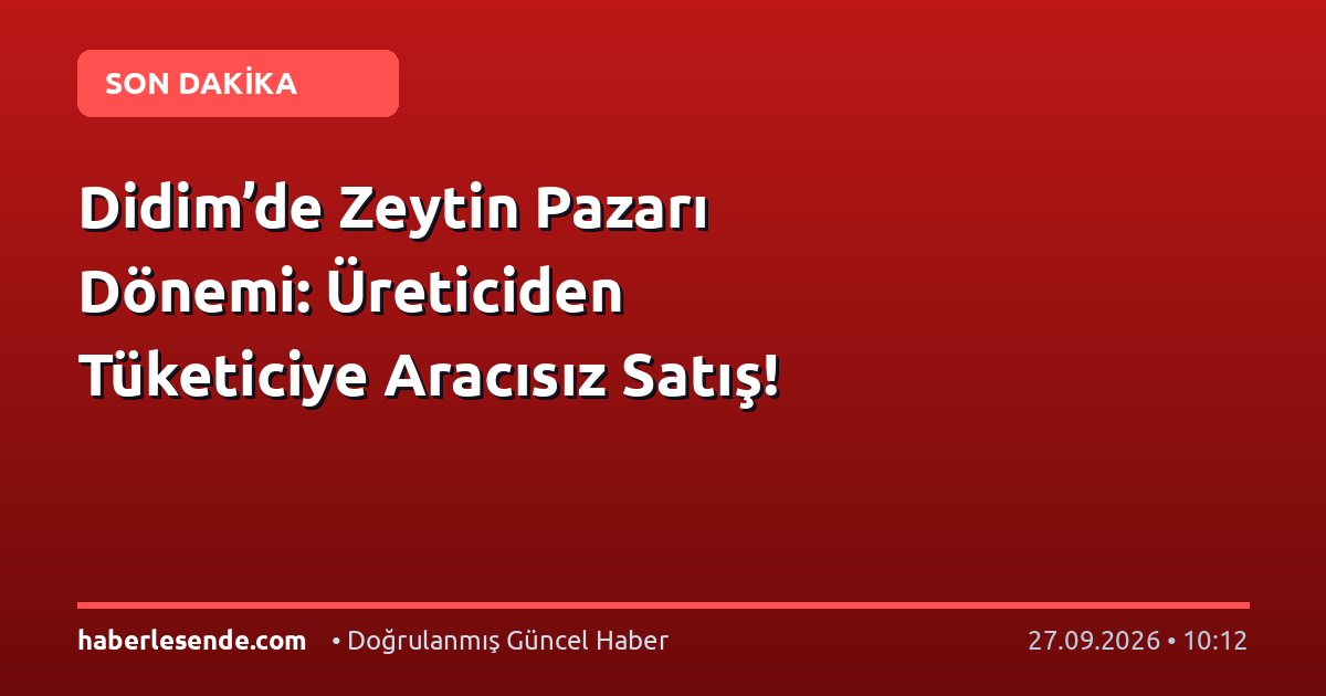 Didim’de Zeytin Pazarı Dönemi: Üreticiden Tüketiciye Aracısız Satış!