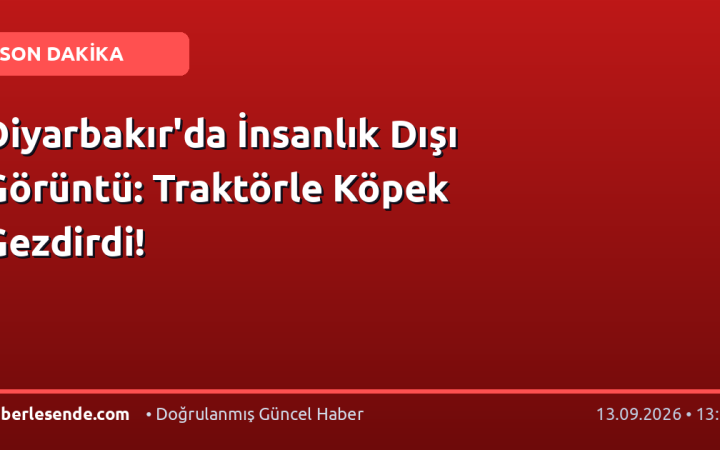 Diyarbakır'da İnsanlık Dışı Görüntü: Traktörle Köpek Gezdirdi!