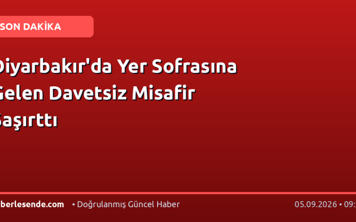 Diyarbakır'da Yer Sofrasına Gelen Davetsiz Misafir Şaşırttı