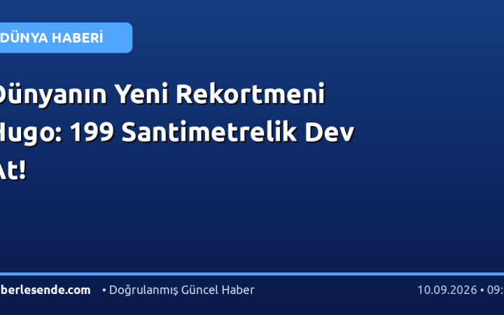 Dünyanın Yeni Rekortmeni Hugo: 199 Santimetrelik Dev At!