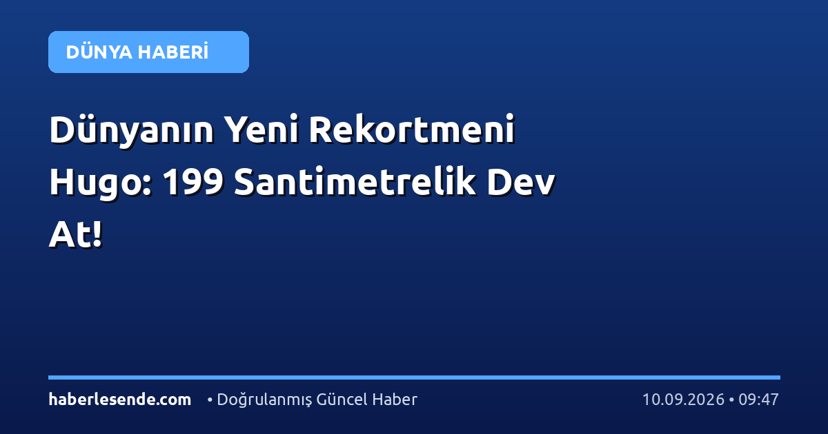 Dünyanın Yeni Rekortmeni Hugo: 199 Santimetrelik Dev At!