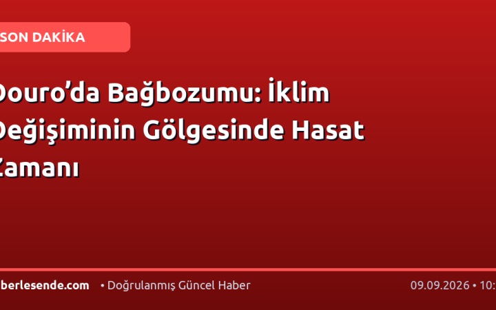 Douro’da Bağbozumu: İklim Değişiminin Gölgesinde Hasat Zamanı