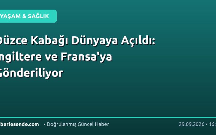Düzce Kabağı Dünyaya Açıldı: İngiltere ve Fransa'ya Gönderiliyor
