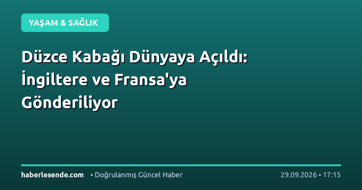 Düzce Kabağı Dünyaya Açıldı: İngiltere ve Fransa'ya Gönderiliyor
