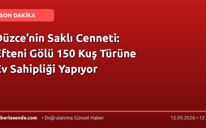 Düzce’nin Saklı Cenneti: Efteni Gölü 150 Kuş Türüne Ev Sahipliği Yapıyor