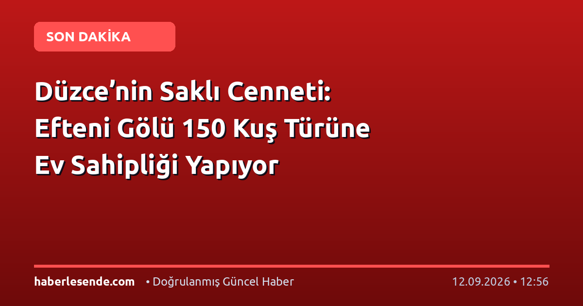 Düzce’nin Saklı Cenneti: Efteni Gölü 150 Kuş Türüne Ev Sahipliği Yapıyor