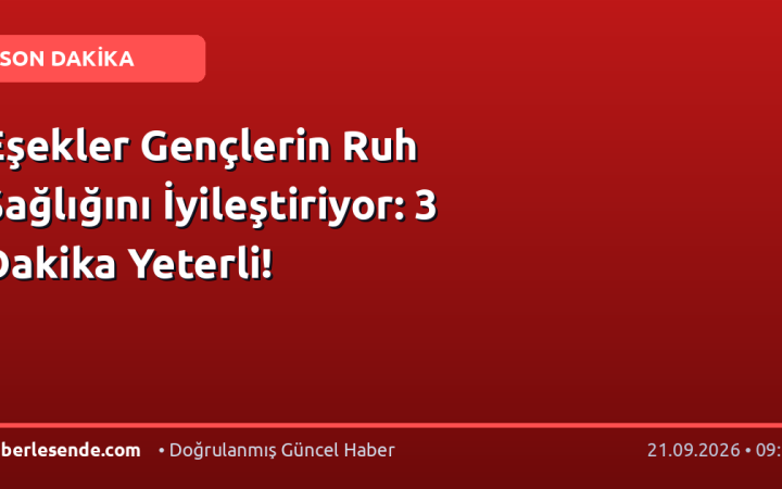 Eşekler Gençlerin Ruh Sağlığını İyileştiriyor: 3 Dakika Yeterli!