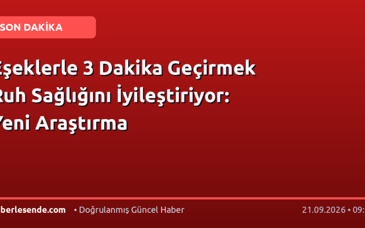 Eşeklerle 3 Dakika Geçirmek Ruh Sağlığını İyileştiriyor: Yeni Araştırma