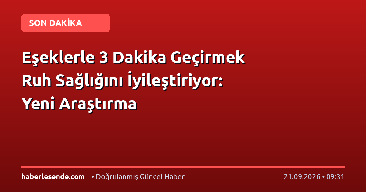Eşeklerle 3 Dakika Geçirmek Ruh Sağlığını İyileştiriyor: Yeni Araştırma