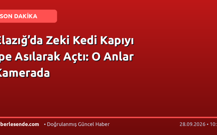 Elazığ’da Zeki Kedi Kapıyı İpe Asılarak Açtı: O Anlar Kamerada