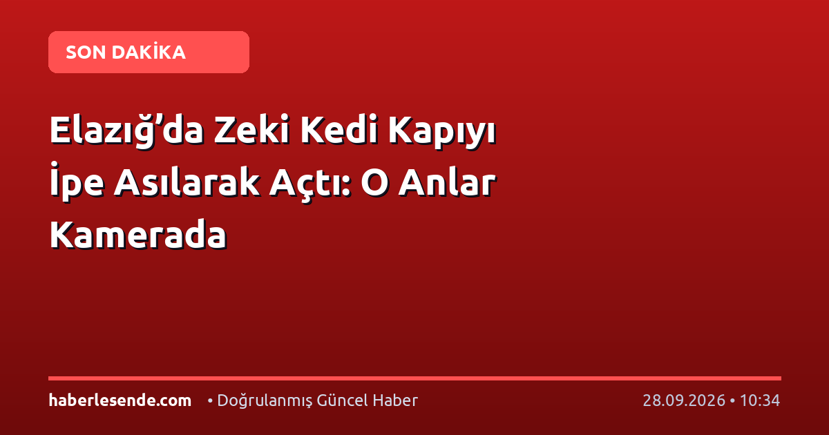 Elazığ’da Zeki Kedi Kapıyı İpe Asılarak Açtı: O Anlar Kamerada