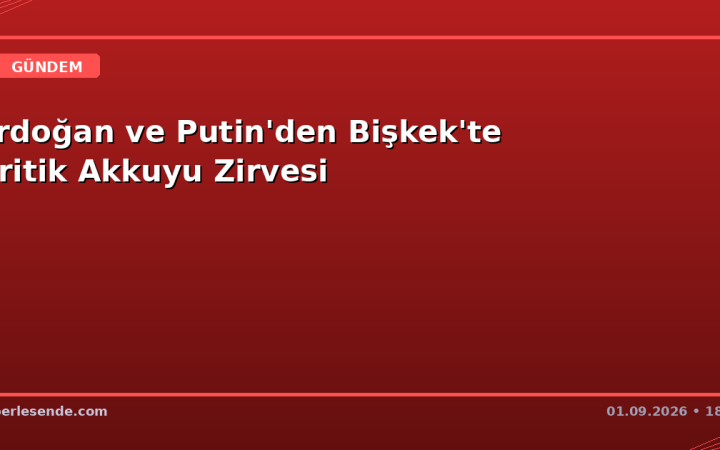 Erdoğan ve Putin'den Bişkek'te Kritik Akkuyu Zirvesi