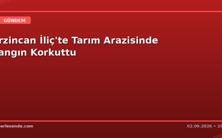 Erzincan İliç'te Tarım Arazisinde Yangın Korkuttu