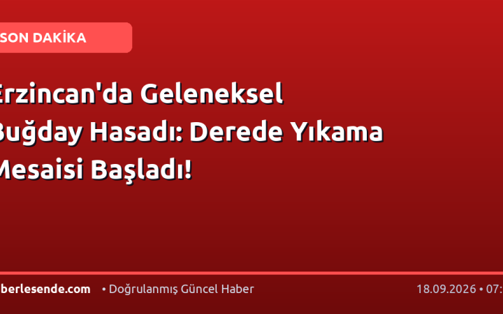 Erzincan'da Geleneksel Buğday Hasadı: Derede Yıkama Mesaisi Başladı!