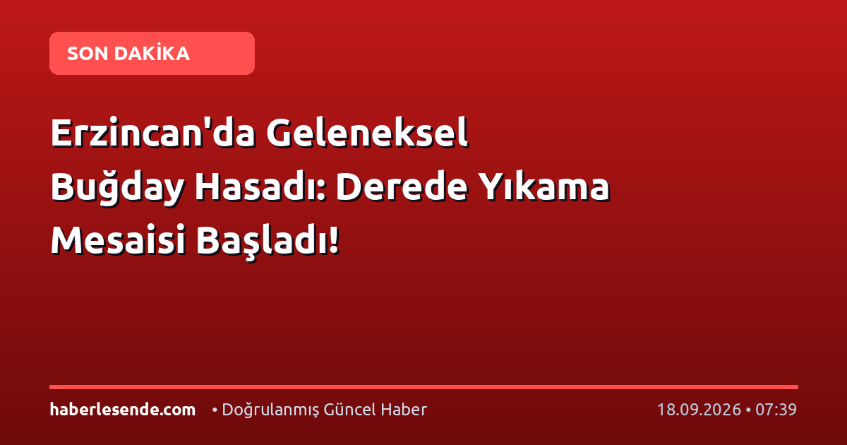 Erzincan'da Geleneksel Buğday Hasadı: Derede Yıkama Mesaisi Başladı!