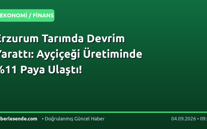 Erzurum Tarımda Devrim Yarattı: Ayçiçeği Üretiminde Paya Ulaştı!