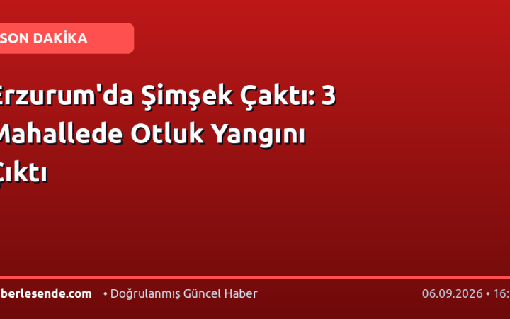 Erzurum'da Şimşek Çaktı: 3 Mahallede Otluk Yangını Çıktı
