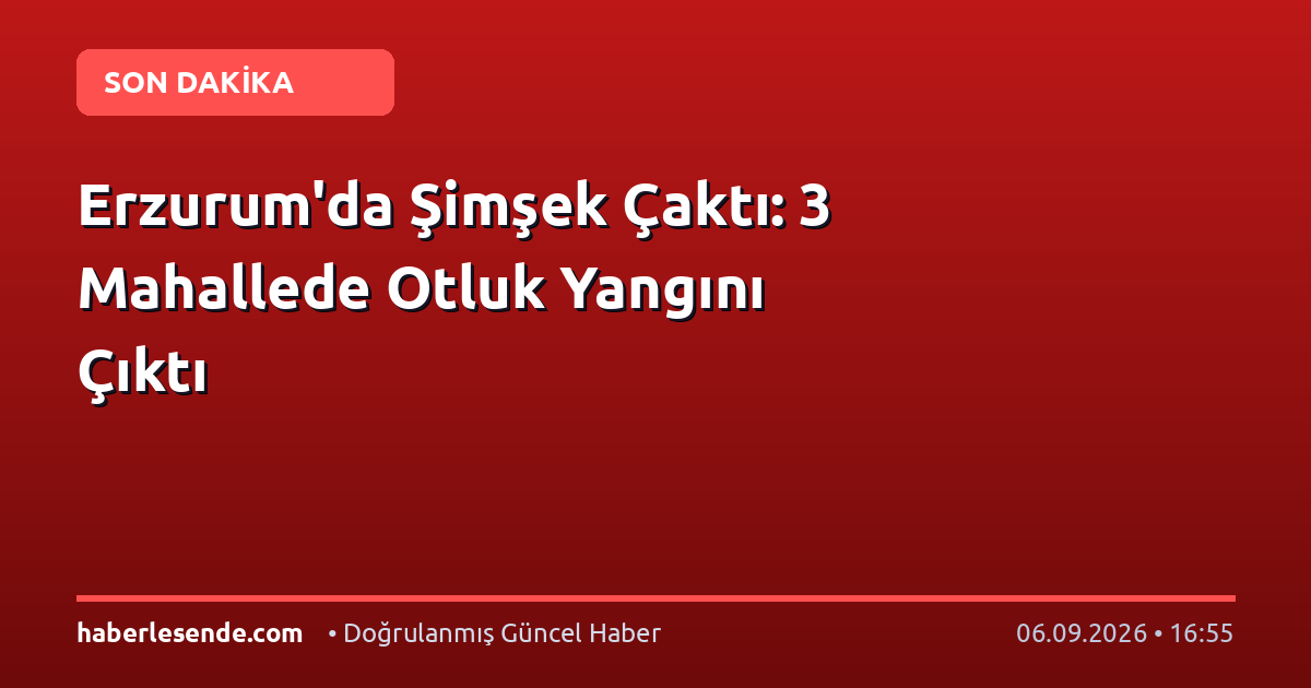 Erzurum'da Şimşek Çaktı: 3 Mahallede Otluk Yangını Çıktı