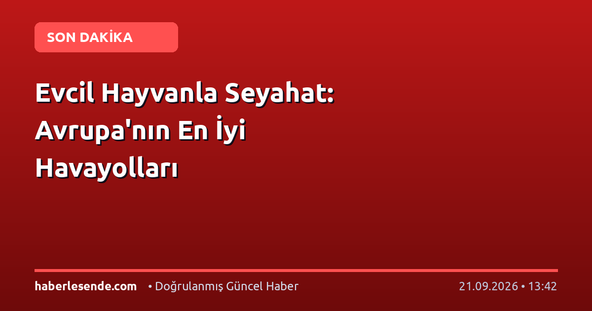 Evcil Hayvanla Seyahat: Avrupa'nın En İyi Havayolları