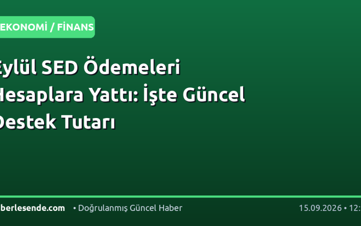 Eylül SED Ödemeleri Hesaplara Yattı: İşte Güncel Destek Tutarı