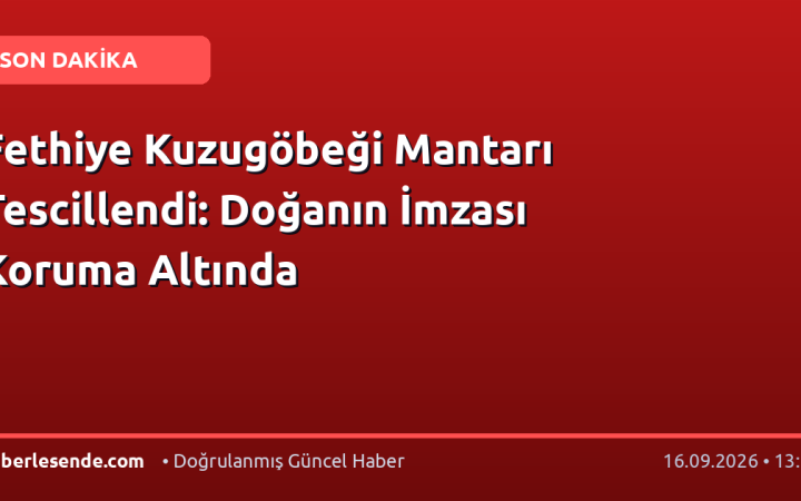 Fethiye Kuzugöbeği Mantarı Tescillendi: Doğanın İmzası Koruma Altında