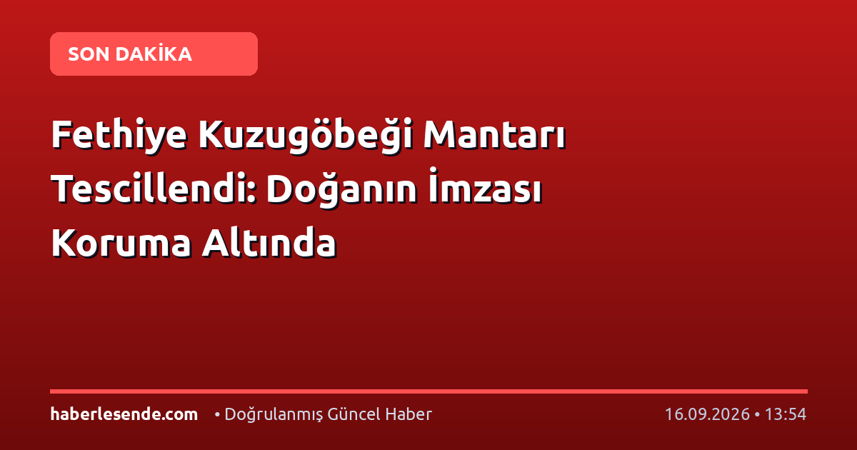 Fethiye Kuzugöbeği Mantarı Tescillendi: Doğanın İmzası Koruma Altında