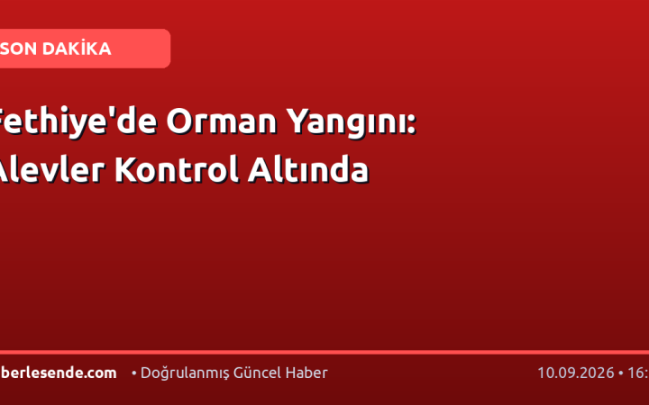 Fethiye'de Orman Yangını: Alevler Kontrol Altında